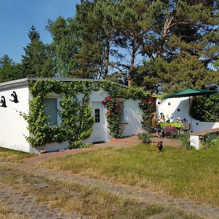 Villa Ferienhaeuschen Born Exterior foto