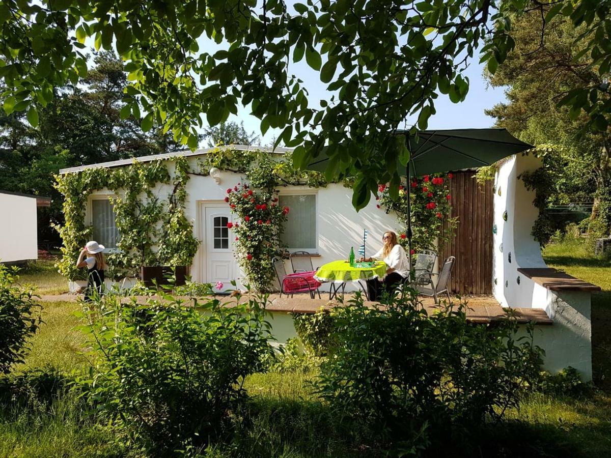 Villa Ferienhaeuschen Born Exterior foto