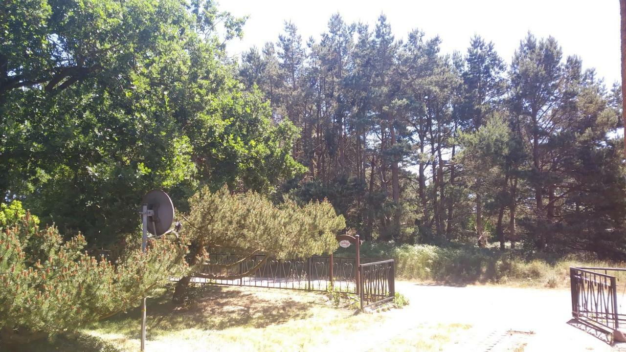 Villa Ferienhaeuschen Born Exterior foto