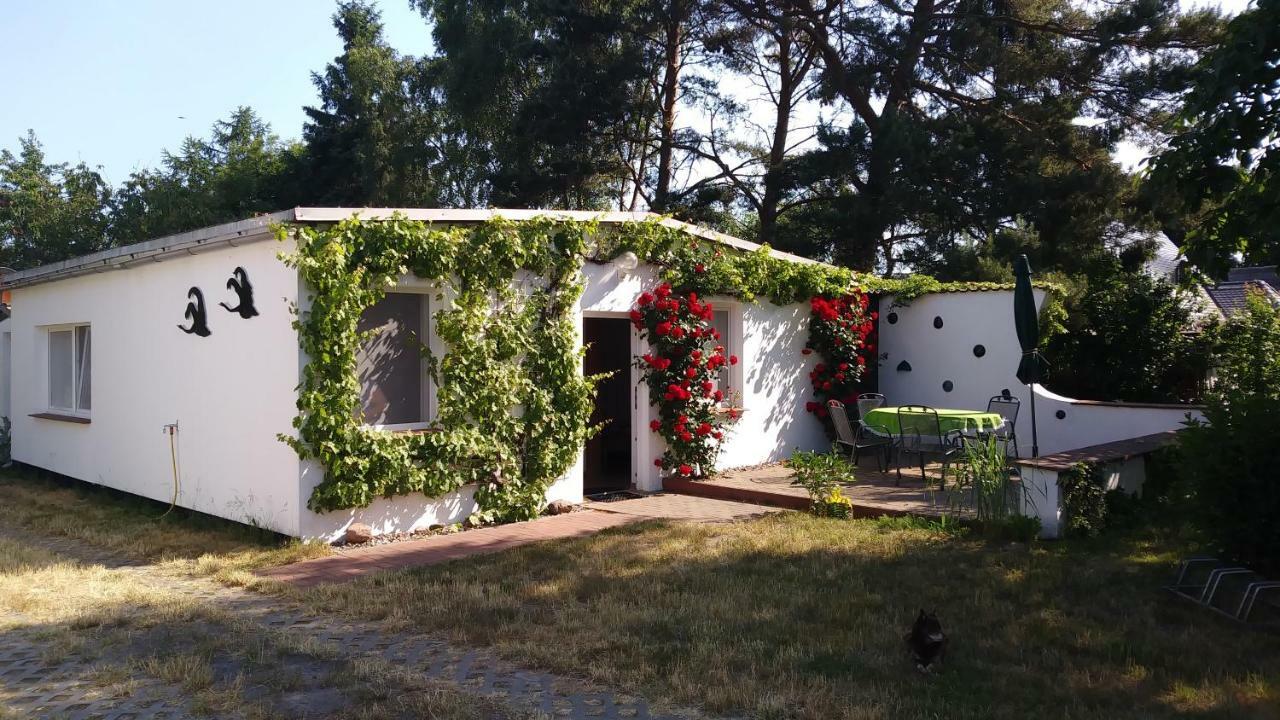 Villa Ferienhaeuschen Born Exterior foto